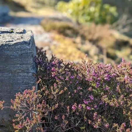 Сasa de vacaciones Sjohytte I Ryfylke Med 5 Soverom Hjelmeland